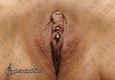 9828 vertical hood piercing_intim piercing