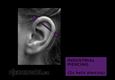 (36) industrial piercing_2x helix