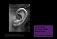 (38) vertical industrial piercing_2x inner conch