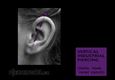 (40) vertical industrial piercing_helix, rook, inner conch