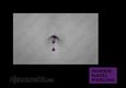 (15) inverse navel piercing